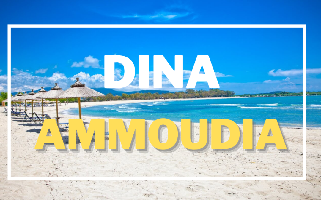 Вила Dina – Амудиа 2026 (Превоз од Охрид)