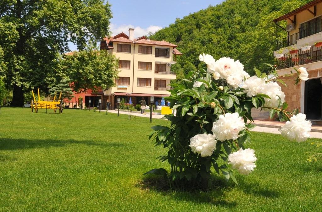 DELTA HOTEL SPA 3* – OGNENOVO
